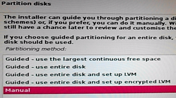 Kali Linux 2 disk partition methods