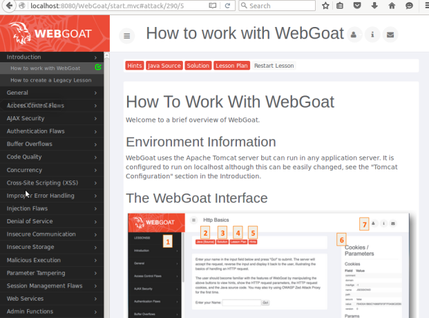 WebGoat's pentest lessons
