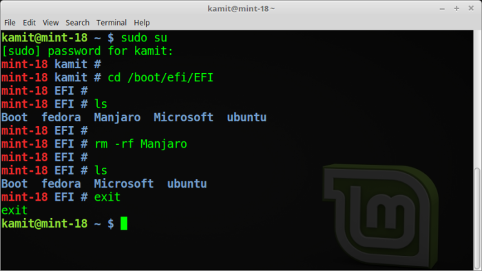 how-to-keep-your-boot-efi-partition-clean-of-old-linux-bootloader