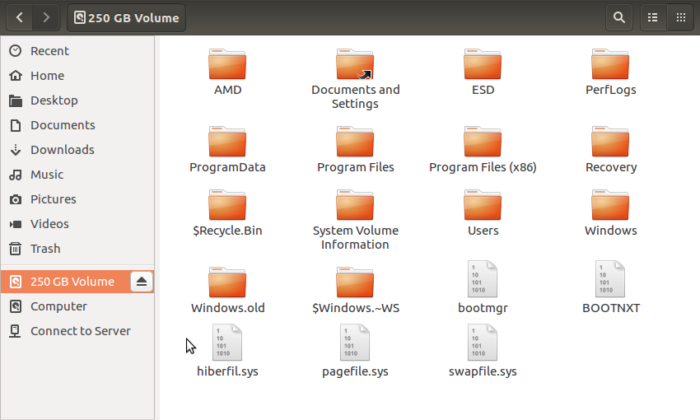 read Windows 10 files from Linux