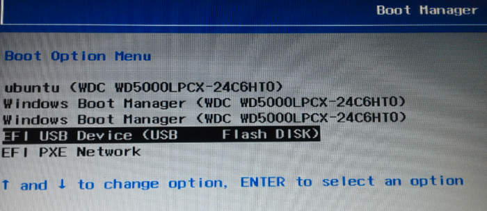 Computer boot options