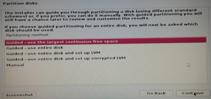 Disk partitioning options Kali Linux