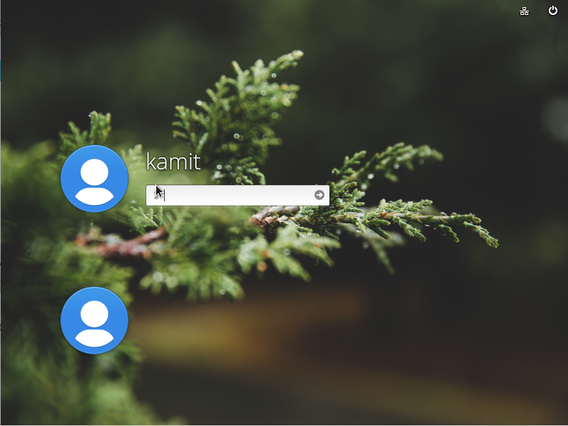 elementary OS 0.4 Loki