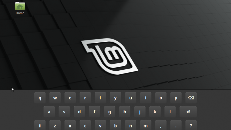 Linux Mint 6 Installation with Custom Disk Partitioning LinuxBSDos