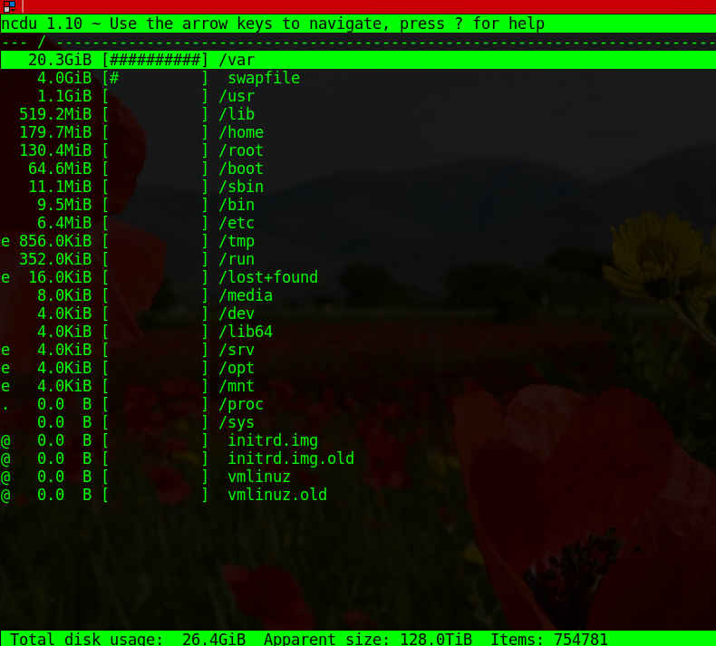 Troubleshooting disk usage on a Linux server with ncdu