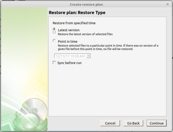 CloudBerry Backup restore type