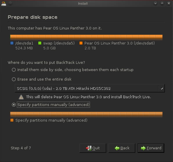 BackTrack 5 Partition Options