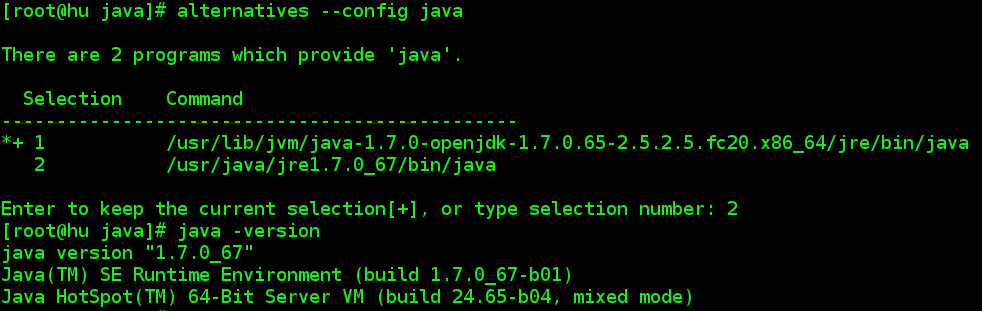 Oracle Java JRE
