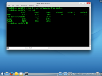 ROSA Desktop Fresh R4 terminal