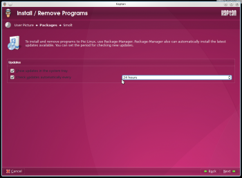 Kaptan Package updates settings
