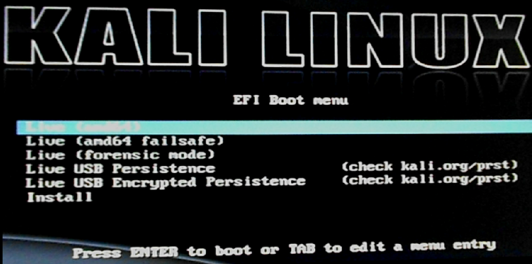 Kali Linux install menu