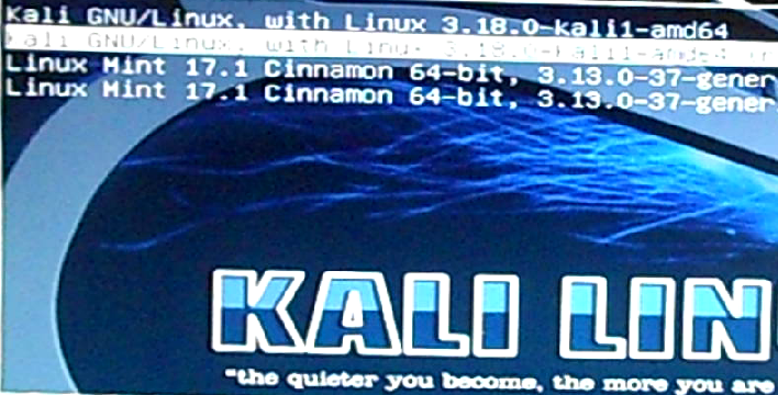 GRUB menu Kali Linux