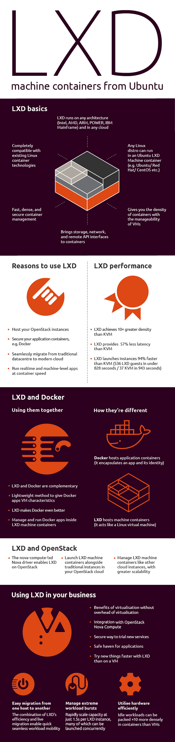 LXD Infographic