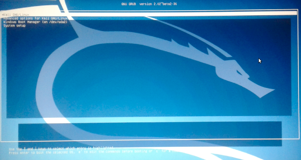 kali linux with windows 10