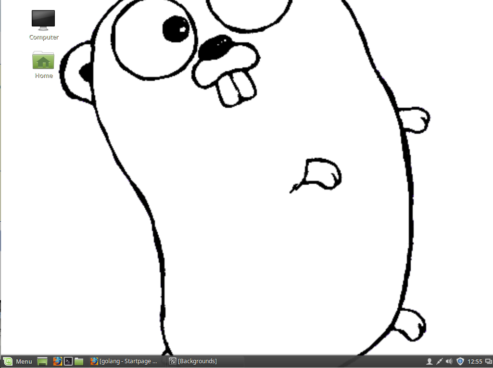 Golang on Linux Mint 18