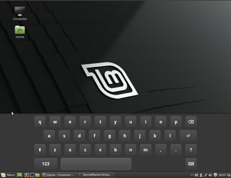 Linux Mint 6 Installation with Custom Disk Partitioning