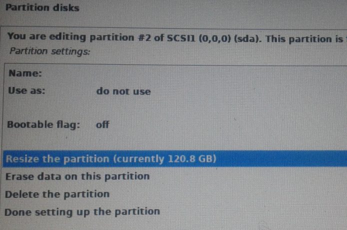 Kali Linux partitioning