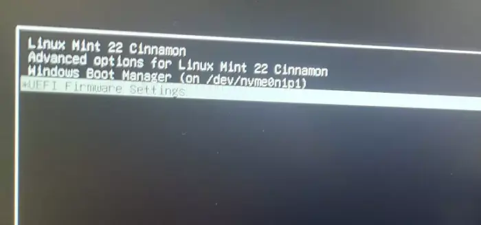 Linux Mint 22 GRUB boot menu