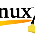 How to run a repository of casino games in Linux using Wine or Proton