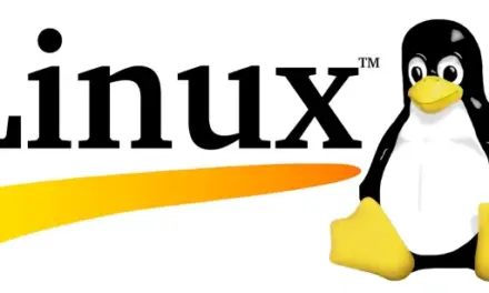 How to run a repository of casino games in Linux using Wine or Proton