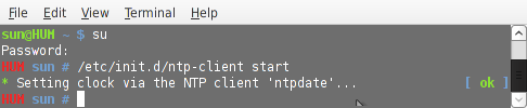 Starting ntp-client